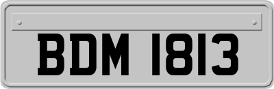 BDM1813