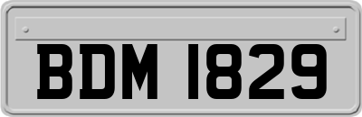 BDM1829
