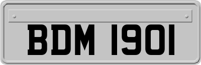 BDM1901
