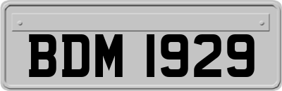 BDM1929
