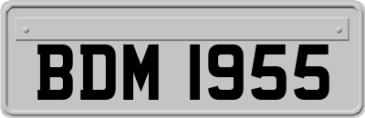 BDM1955