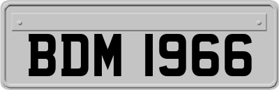 BDM1966