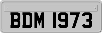 BDM1973
