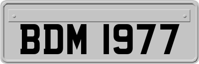 BDM1977