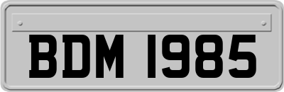 BDM1985