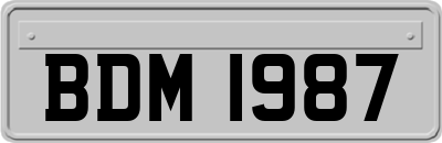 BDM1987