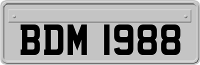 BDM1988