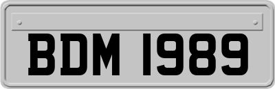 BDM1989