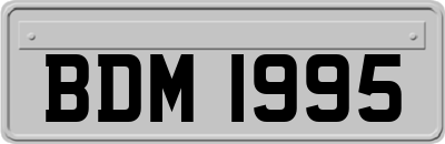 BDM1995