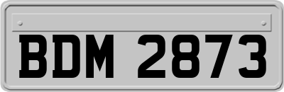BDM2873