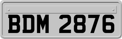 BDM2876