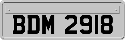 BDM2918