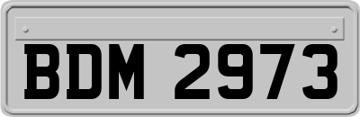 BDM2973