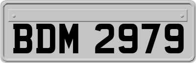 BDM2979