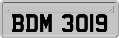 BDM3019
