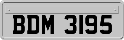 BDM3195
