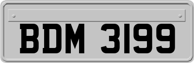BDM3199