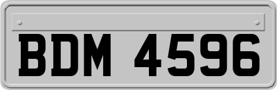 BDM4596