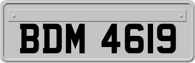 BDM4619