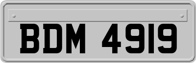 BDM4919