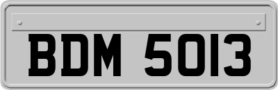 BDM5013