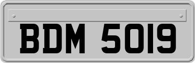 BDM5019