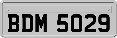 BDM5029