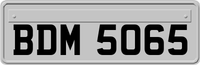 BDM5065