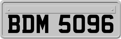 BDM5096