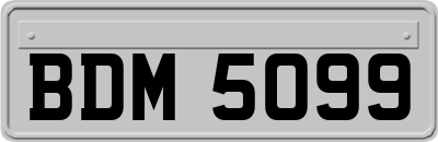 BDM5099