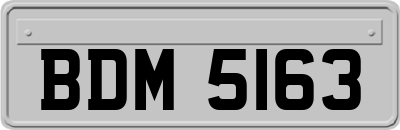 BDM5163