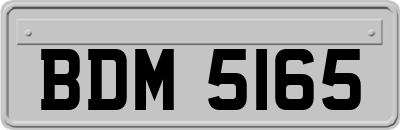 BDM5165