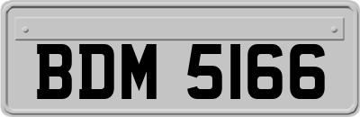 BDM5166