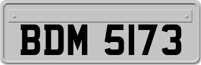 BDM5173