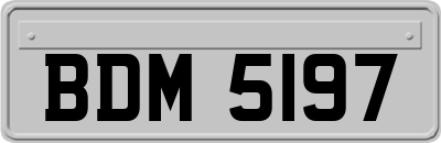BDM5197