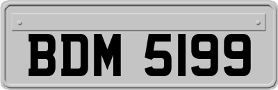 BDM5199