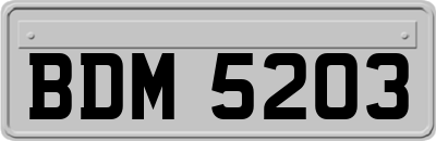 BDM5203
