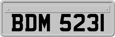 BDM5231