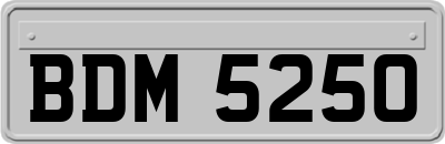 BDM5250