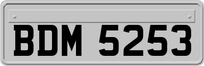 BDM5253
