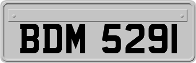 BDM5291