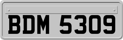 BDM5309