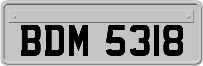 BDM5318