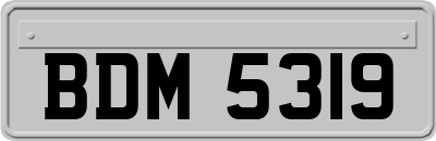 BDM5319
