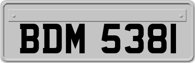 BDM5381