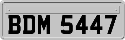 BDM5447