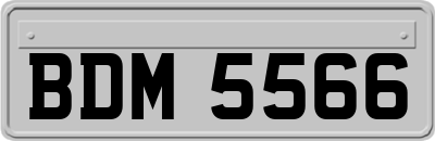 BDM5566