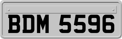 BDM5596