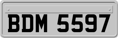 BDM5597