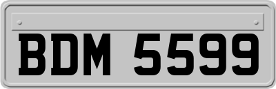 BDM5599